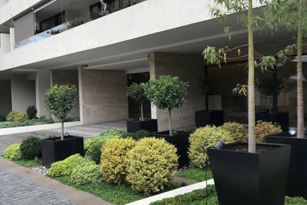 Paisajismo_Urbano_1000M_Edificio_Los_gomeros_Vitacura_6