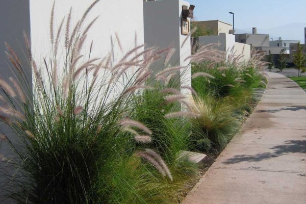 Paisajismo_Urbano_300M_Casa_Diaz_2
