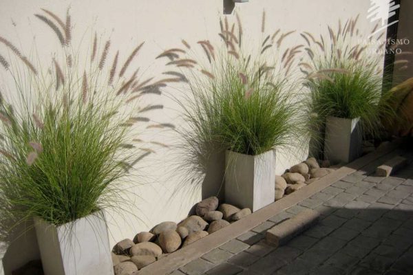 Paisajismo_Urbano_300M_Casa_Frades_4