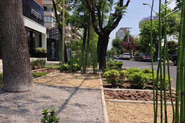 Paisajismo_Urbano_300M_Sala_Ventas_Edificio_Victor_Rae_2